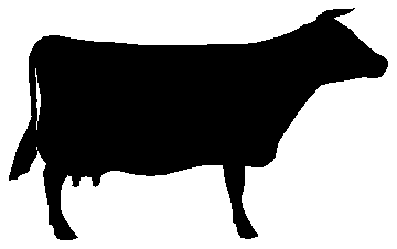 cow silhouette