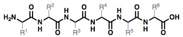 Hexapeptide backbone