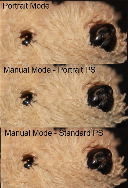 Comparison image