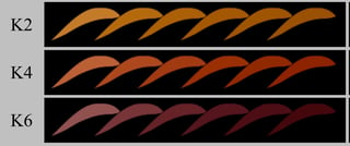 Possible photosynthetic pigments matching the light output of the K5.2V star.