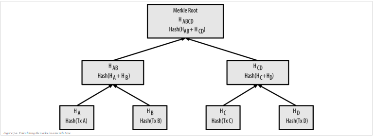 Merkle Root