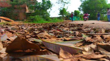 Evening walk - Mangalore, Karnataka, India