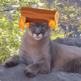 Puma with burning log on head