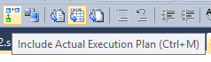 Include Actual Execution Plan