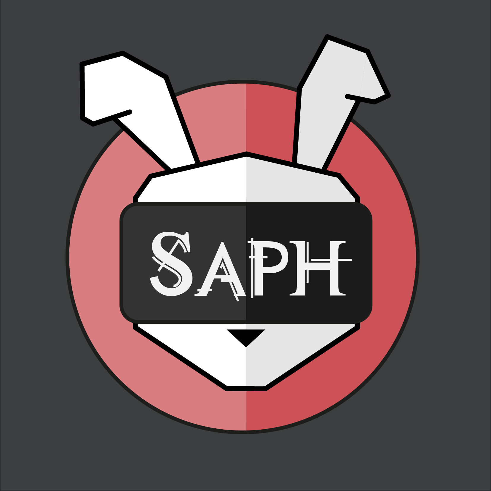 Saphirel's user avatar