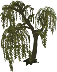 Runescape willow tree