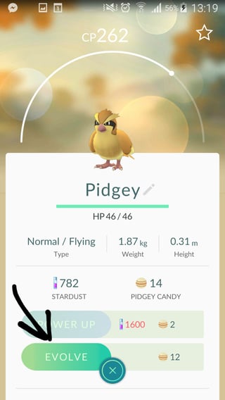 Evolve Pidgey