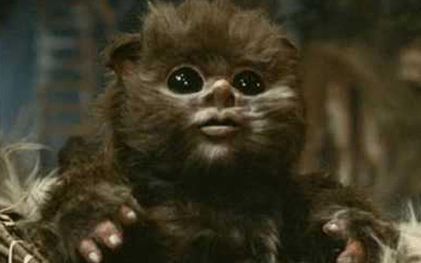 Baby Ewok