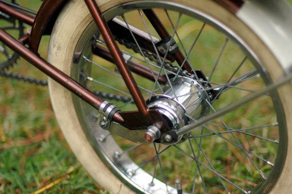 Coaster brake