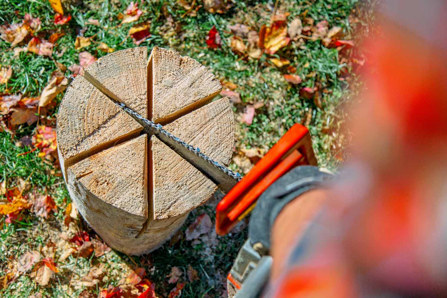 chainsaw a whole log