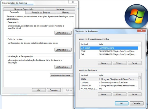 Insert com acentos no Oracle