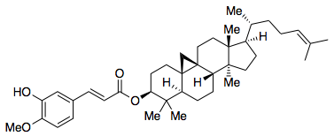 γ-Oryzanol structure