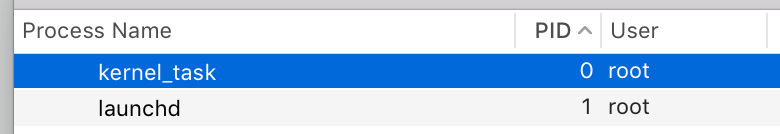 kernel_task and launchd are owned by too