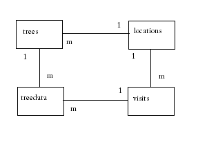 tree db design