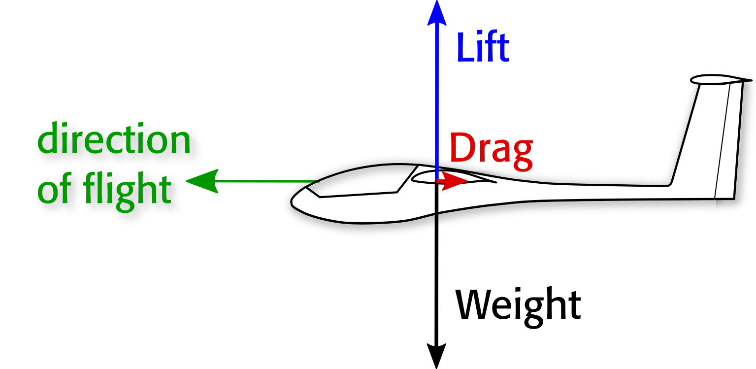 Glider in level flight