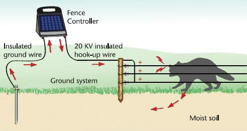 Electric fence diagram