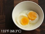 155F egg