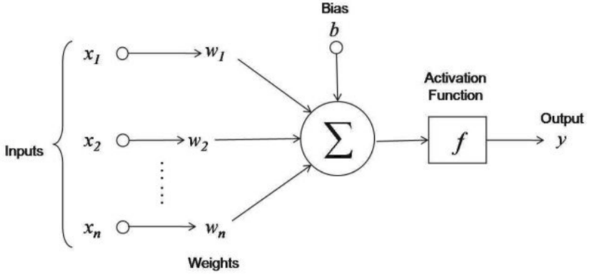 A normal neural network. w represent weight 