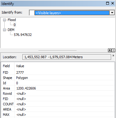 Screenshot of Identify tool output showing DEM value and NULL from Zonal Statistics 