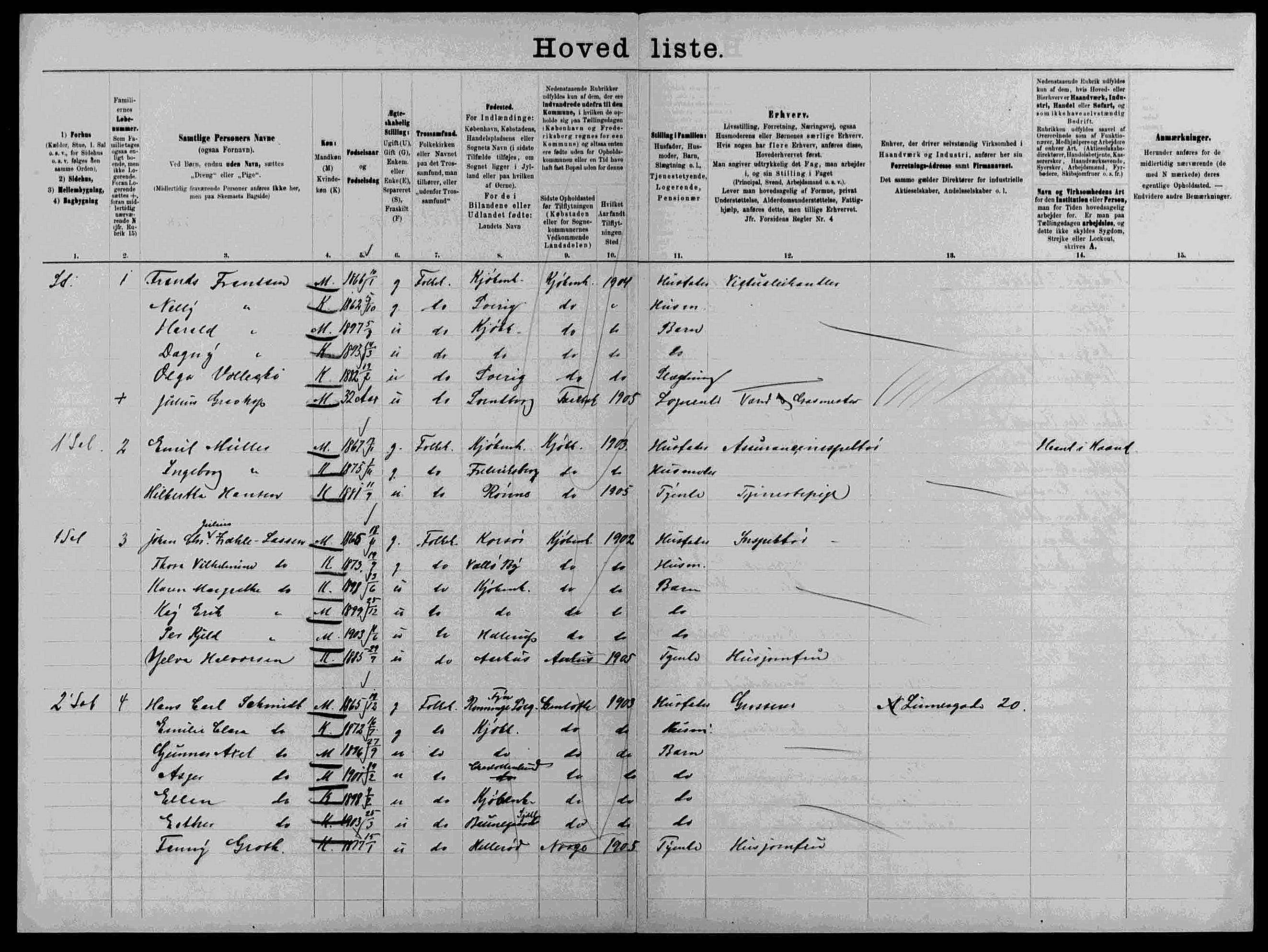 Per Kjeld Lassen 1906 Census, Denmark