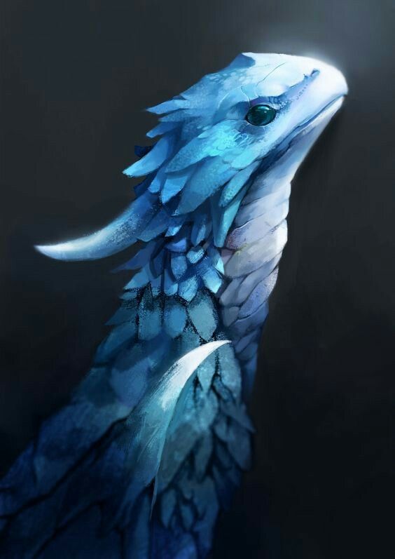 LittleBlueDragon's user avatar