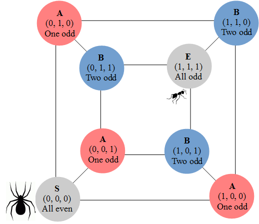 Spider hunting ant in cube