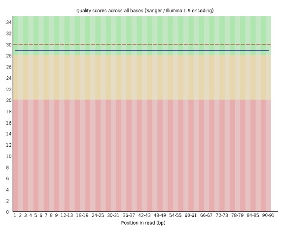 fastq report results of the sample showing 91 bp and no box whisker plot