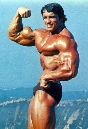 Arnold