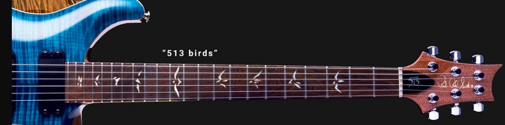 513 birds