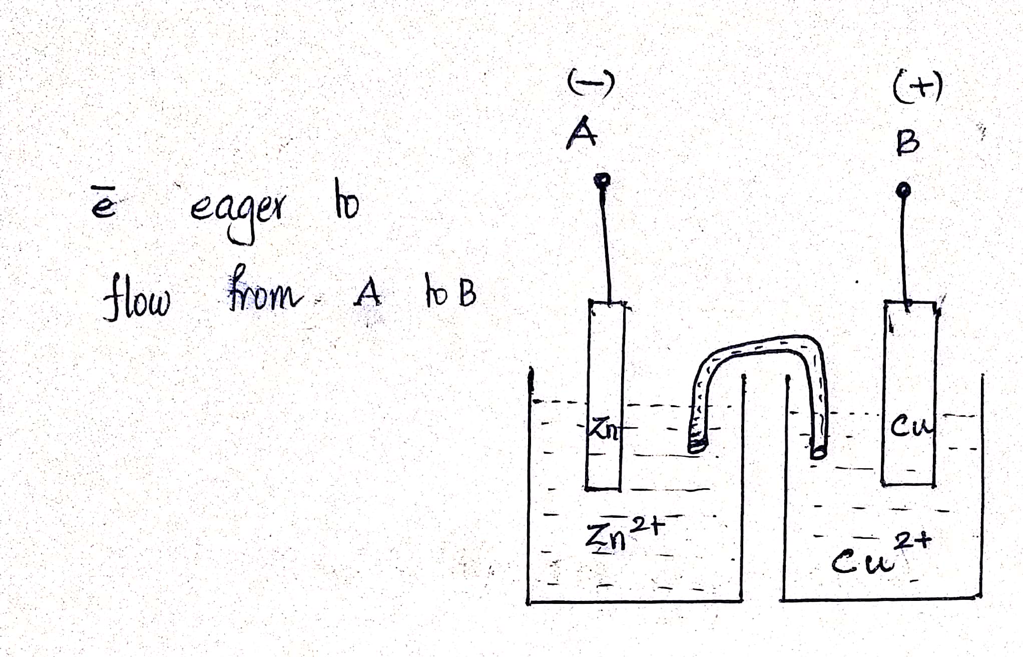 fig 1 : internals of single cell