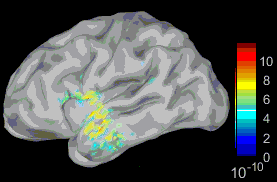 Here's an example of a heatmap