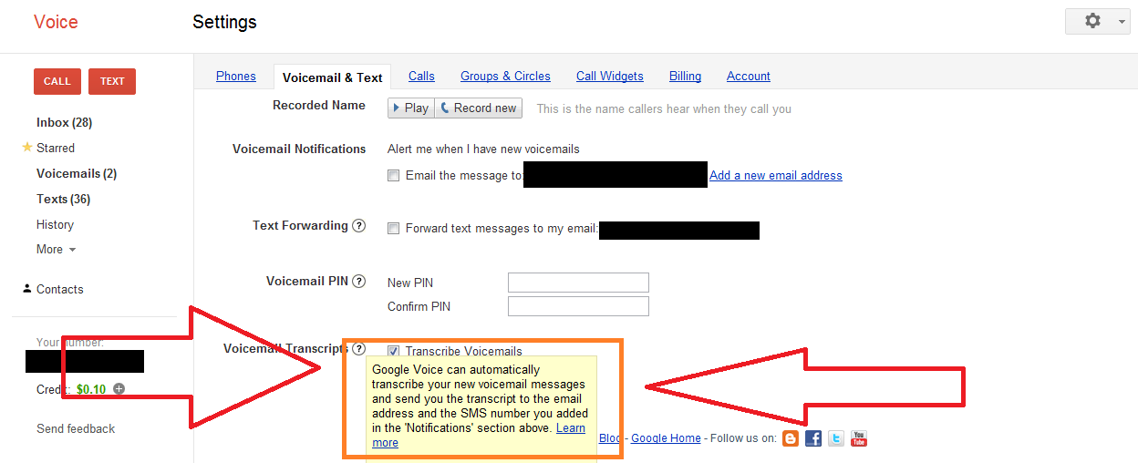 Google Voice setting