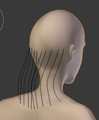 Line of added hair