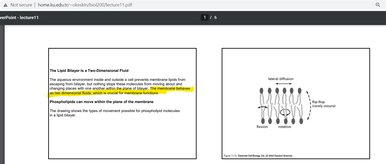 http://home.ku.edu.tr/~okeskin/biol200/lecture11.pdf