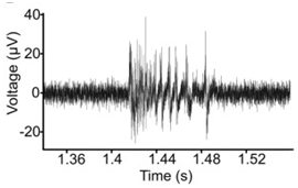 Positive/Negative voltage