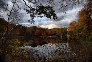 Connecticut College Arboretum