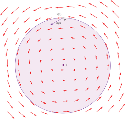 Vector Field