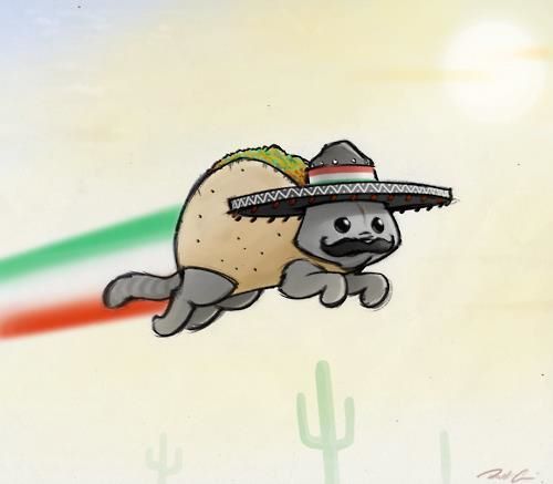 taco