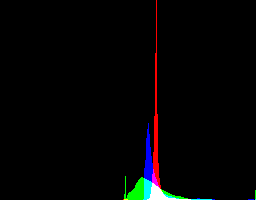 RAW Histogram