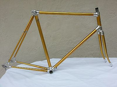 classic Italian lugged frame