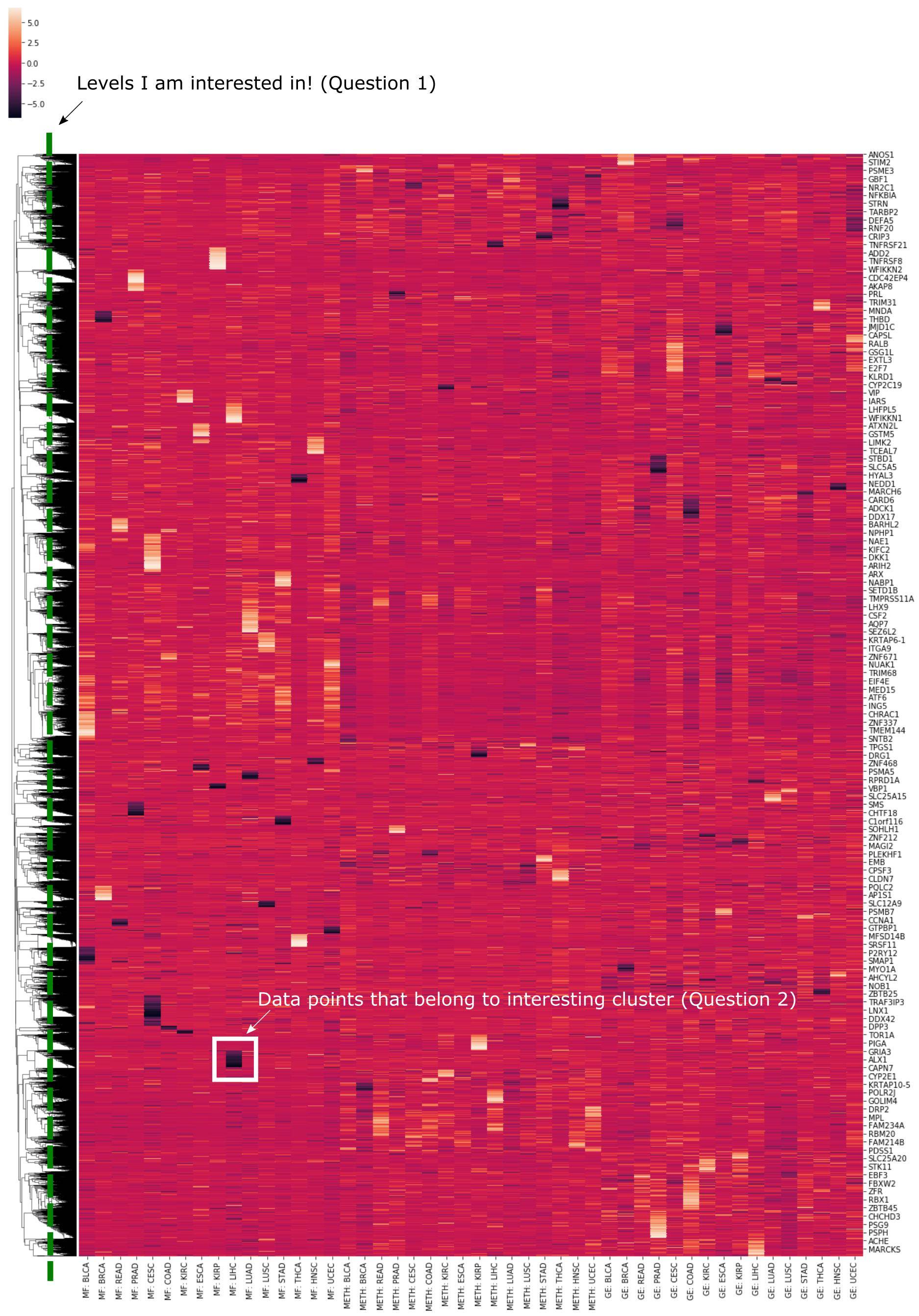 heatmap with interesting features