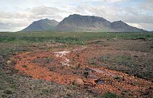 Red Earth where iron ore exists