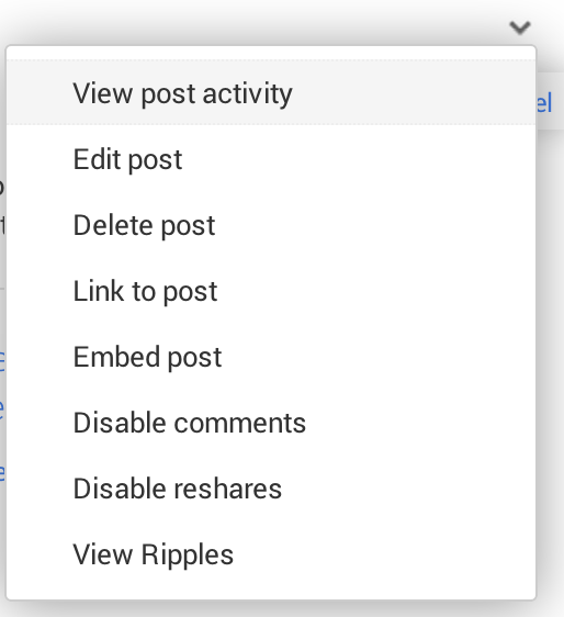 Google Plus Activity