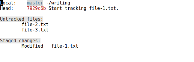 Magit status buffer after staging changes to tracked file