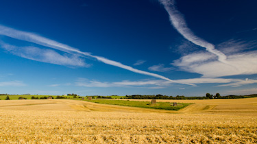 A field in Denmark - Bart Arondson