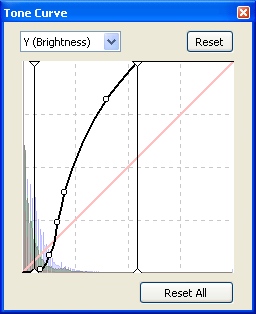 RAW brightness curve