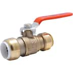 Sharkbite PVC brass valve