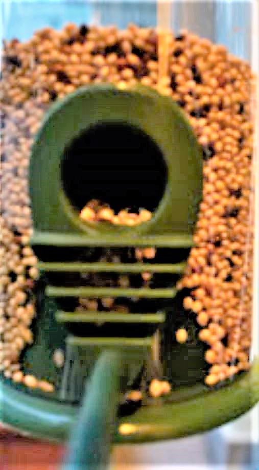 Bird feeder lighter version