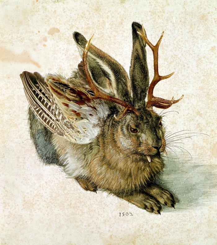 Wolpertinger's user avatar