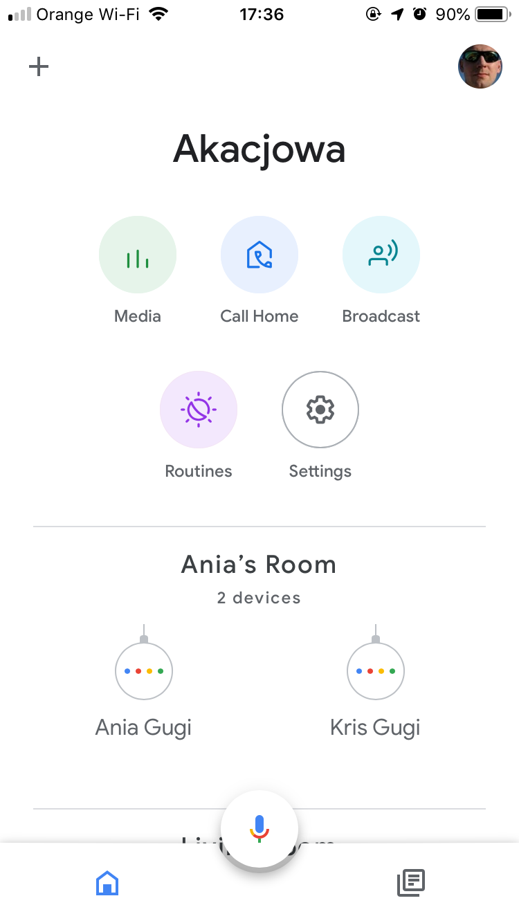 Google Home Custom Routines